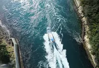 堀越海峡の写真・動画_image_21257