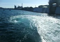 鳴門市役所 経済建設部黒崎渡船の写真・動画_image_21283