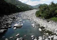 桃介橋の写真・動画_image_23239