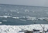 北浜駅の写真・動画_image_25878