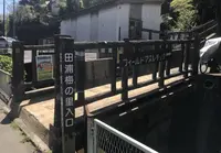 田浦梅の里の写真・動画_image_271925