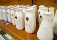 清泉寮の写真・動画_image_29977