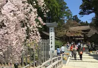 金剛峯寺の写真・動画_image_30103