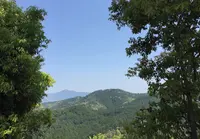 吉野山の写真・動画_image_30217