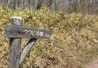 つつじ吊橋の写真・動画_image_32049