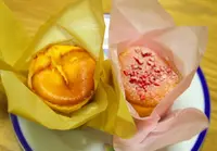 カッサレードの写真・動画_image_49898