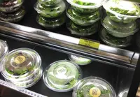 Coco Coveの写真・動画_image_54577