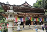 竹生島の写真・動画_image_64613