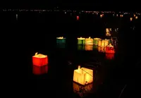 広沢池の写真・動画_image_66466