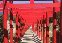 元乃隅神社の写真・動画_image_70396