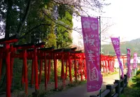 かんざき桜の山桜華園の写真・動画_image_70691