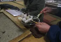 高森田楽保存会の写真・動画_image_71064