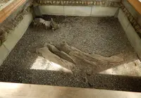大阪城公園の写真・動画_image_94934
