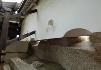 大阪城公園の写真・動画_image_94936