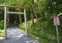 出雲大神宮の写真・動画_image_99332