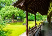 青蓮院門跡の写真・動画_image_1110535