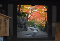 紅葉渓庭園の写真・動画_image_123736