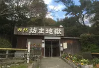 天然記念物坊主地獄の写真・動画_image_173277