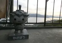 傘松公園の写真・動画_image_192463