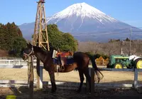 まかいの牧場の写真・動画_image_215694