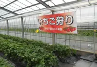 伊豆下田なごみ果園の写真・動画_image_231758