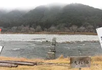名畑の流れ橋の写真・動画_image_297453