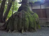 伊雑宮の写真・動画_image_77221