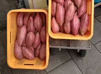 はやしのいきなり団子の写真・動画_image_32265