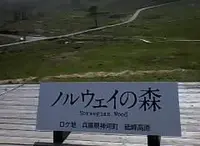 砥峰高原の写真・動画_image_341297