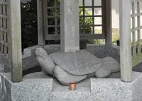 徳正寺の写真・動画_image_25819