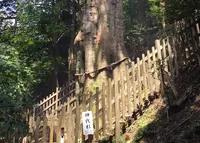 玉置神社の写真・動画_image_39313