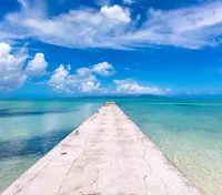 西桟橋の写真・動画_image_1003843