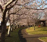 瀬戸公園の写真・動画_image_131062