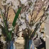 新宿駅の写真・動画_image_69191