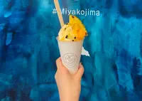 PAINAGAMA BLUEBOOTH （パイナガマブルーブース）の写真・動画_image_1265841