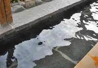 川原湯の写真・動画_image_18036