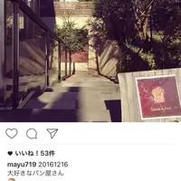 ダンディゾン（Dans Dix ans）の写真・動画_image_209543