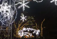 御堂筋の写真・動画_image_18541