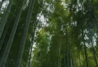 さいたま市役所 氷川の杜文化館の写真・動画_image_27222