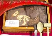 マキィズ 元町店の写真・動画_image_60828