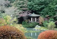 毘沙門堂の写真・動画_image_101013