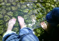 下鴨神社（賀茂御祖神社）の写真・動画_image_17311