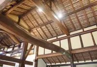 藪椿の写真・動画_image_18477