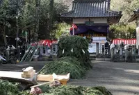来振寺　節分星まつりの写真・動画_image_20241