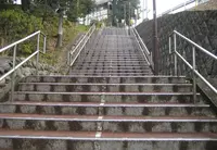 いろは坂の写真・動画_image_23470