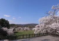 アルプス公園の写真・動画_image_26282