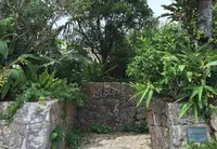 しむじょうの写真・動画_image_35145