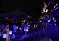 長谷寺の写真・動画_image_43292