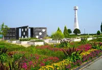 ひまわりの丘公園の写真・動画_image_54390