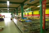 立川水仙郷の写真・動画_image_57135